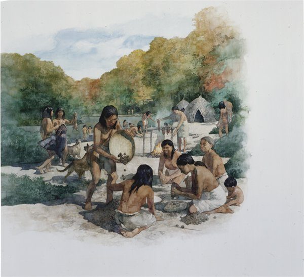 Собирательство как идеология современного общества