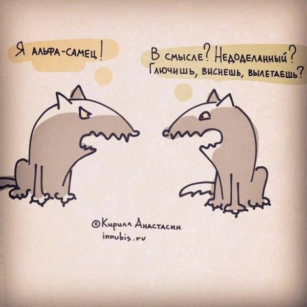 Башорг об альфа самцах