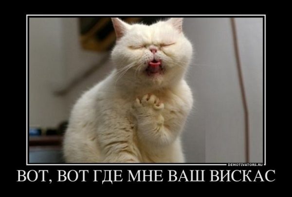 Я требую цензуры: Татьяна Григорьева, “Даши и карандаши”