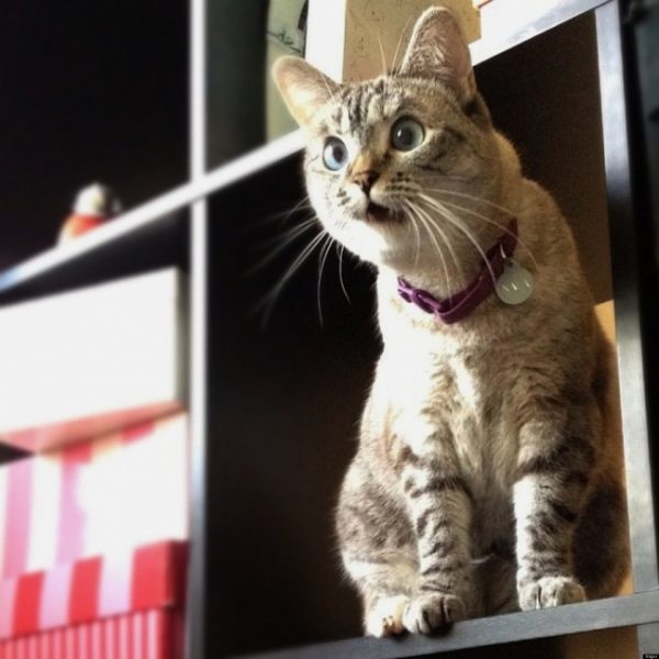 Когда затекает рука…